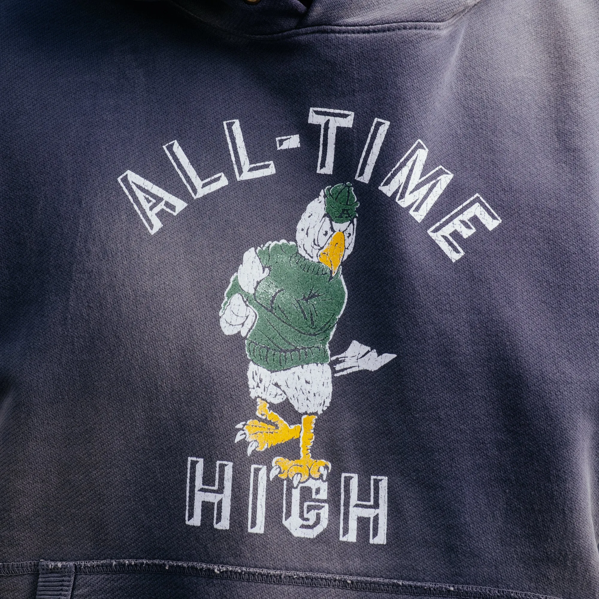 All-Time High Flocked Eagle Hoodie Cadet Blue FINAL SALE