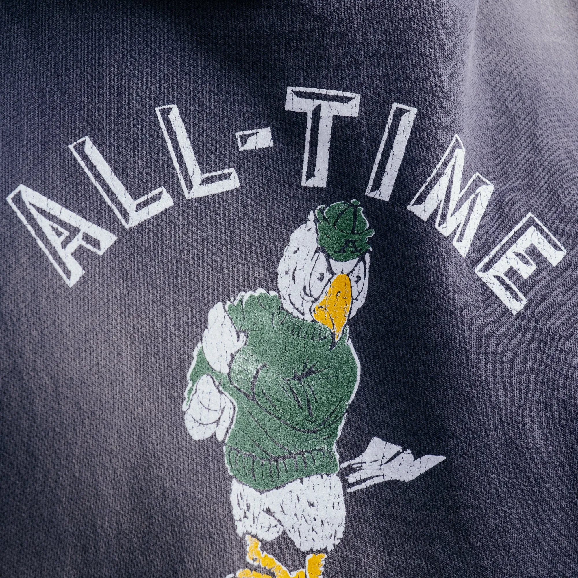 All-Time High Flocked Eagle Hoodie Cadet Blue FINAL SALE