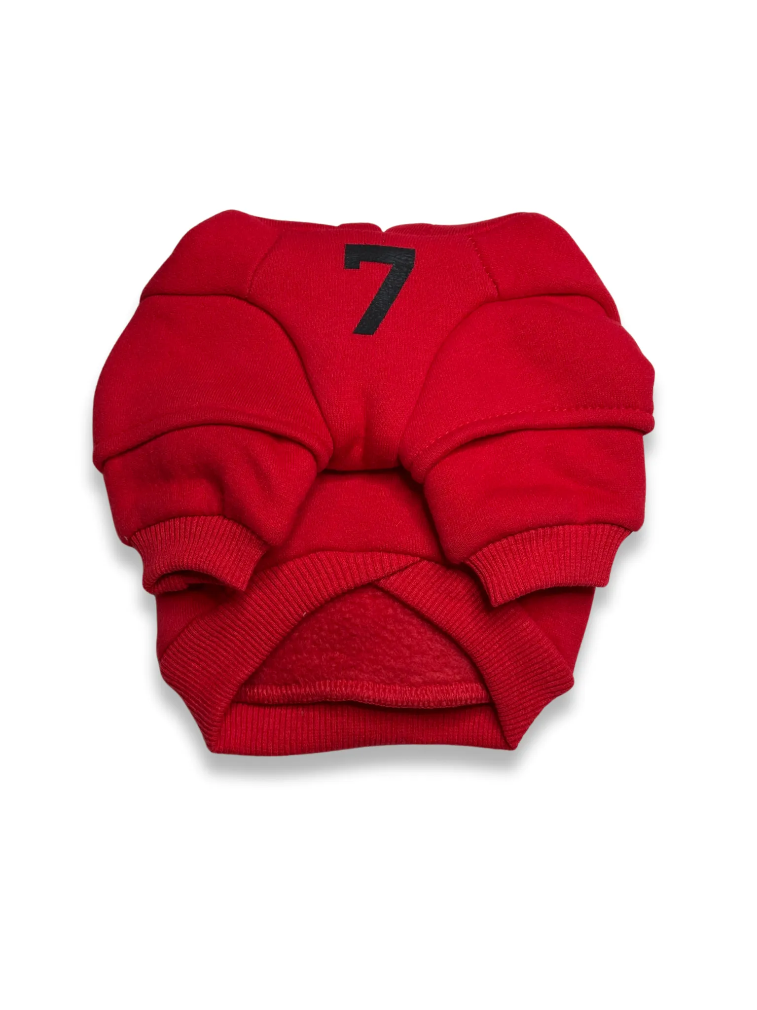Fear of Dog Hoodie