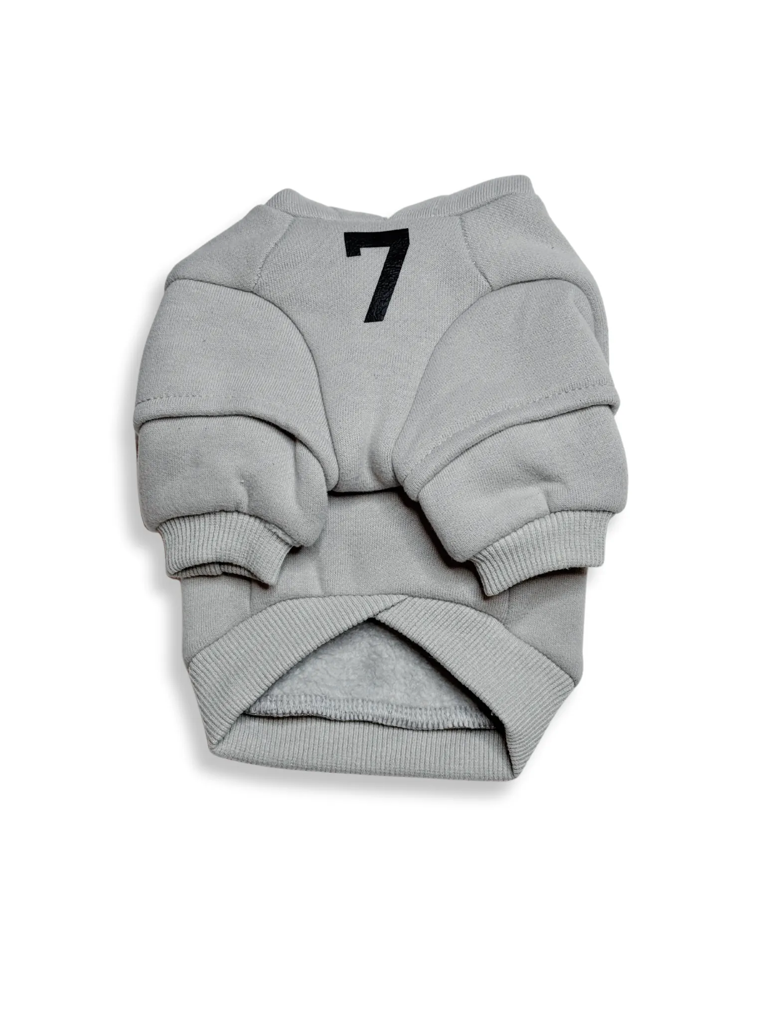 Fear of Dog Hoodie