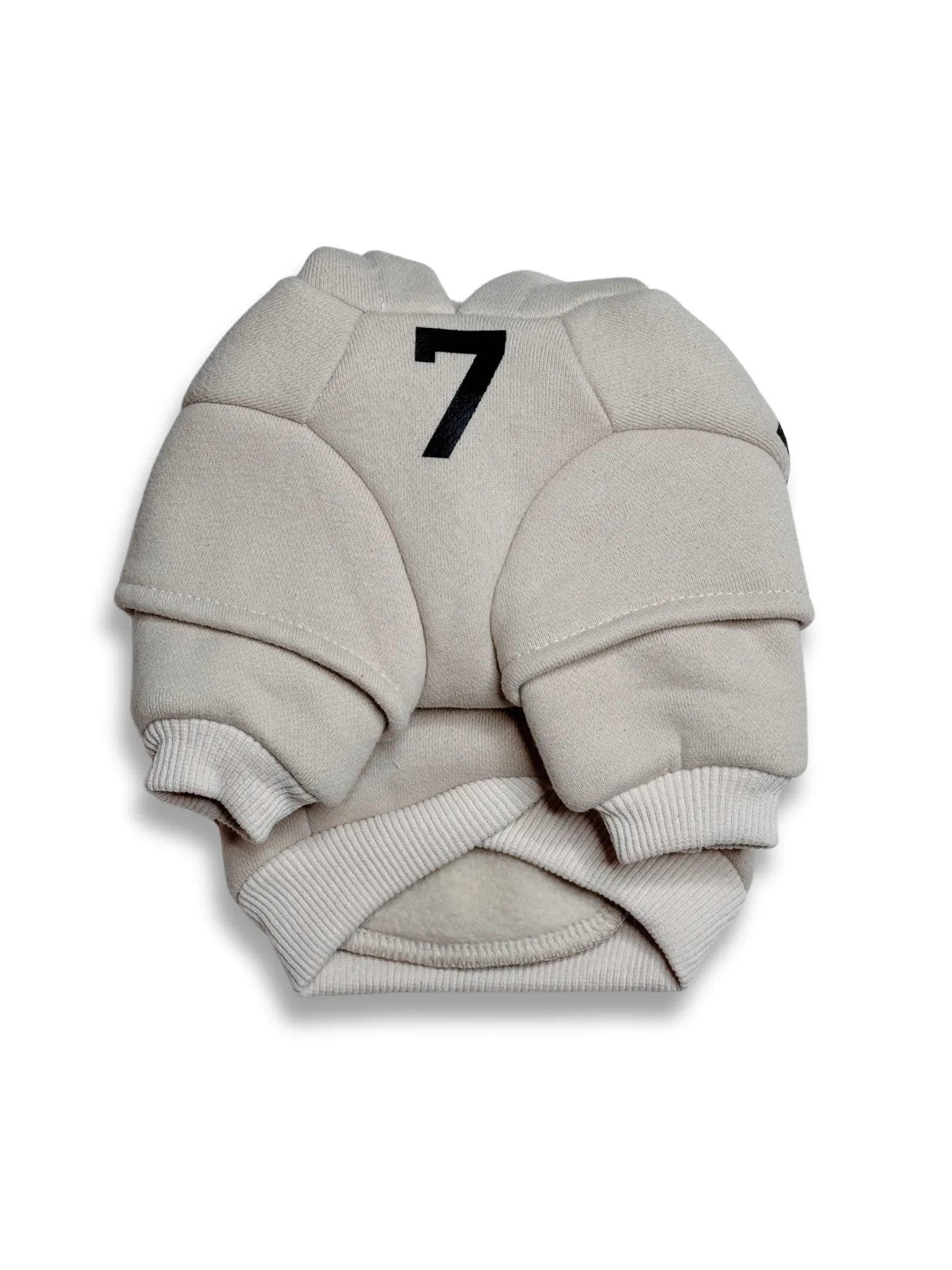 Fear of Dog Hoodie