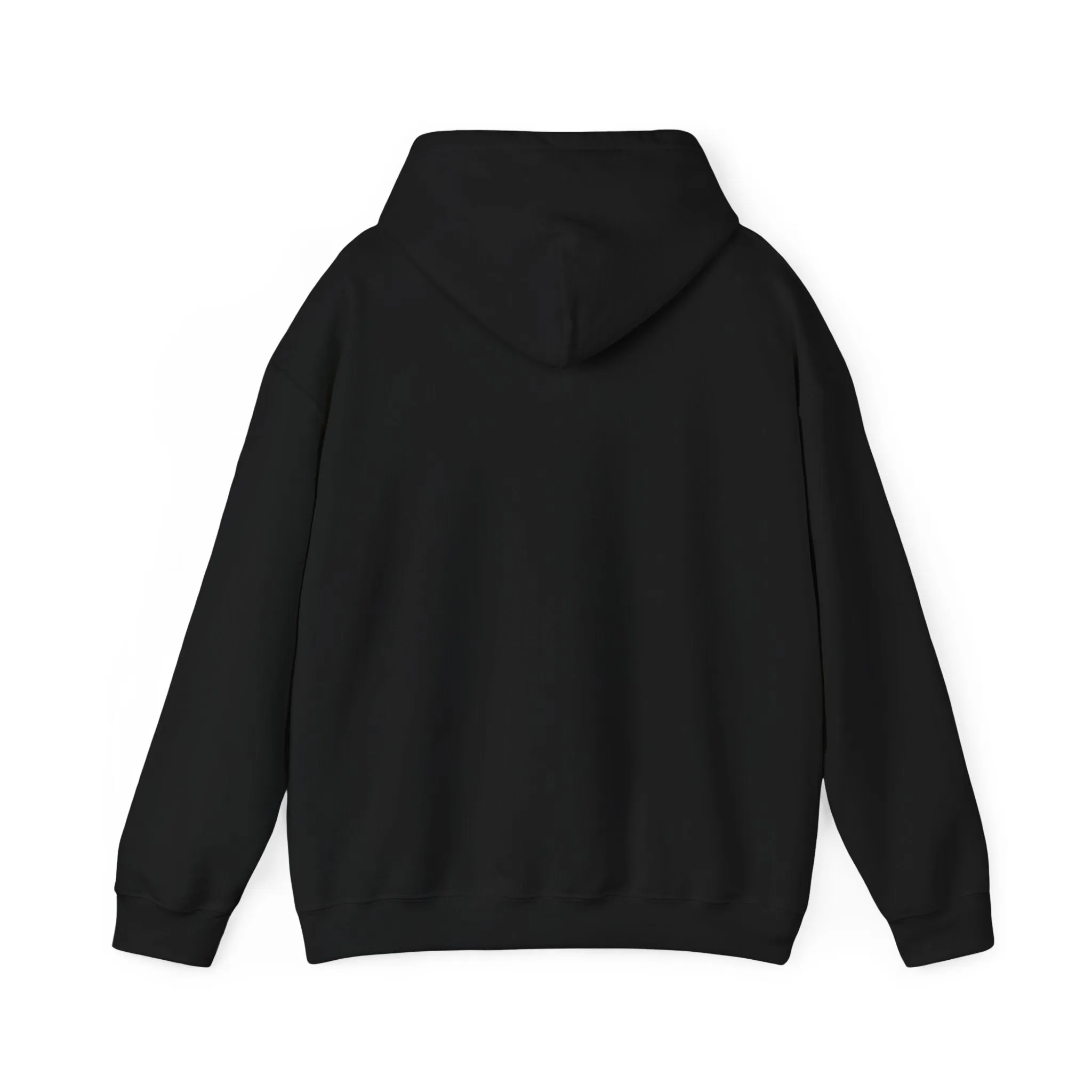 Got This Hoodie - Motivational Sweatshirt for Men & Women, Confidence Pullover, Inspirational Gift for Family & Friends, Positive Black White Apparel