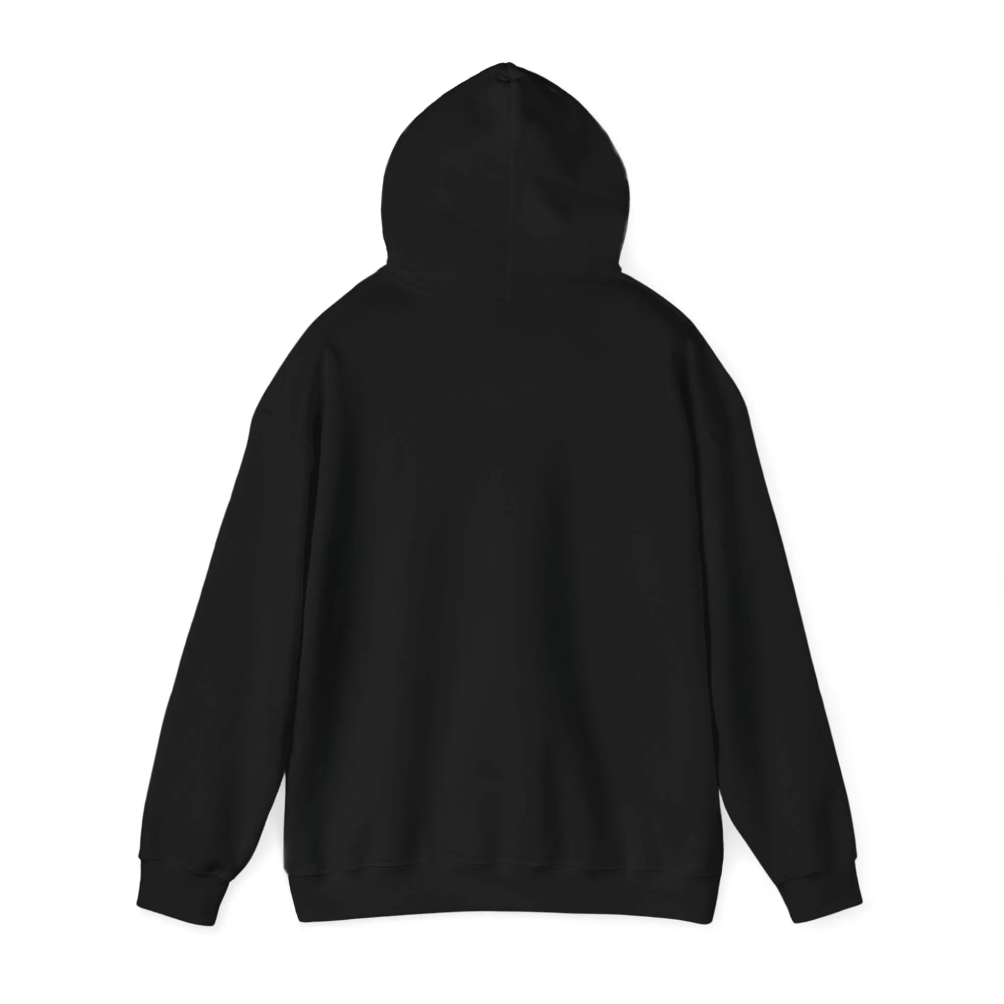 Got This Hoodie - Motivational Sweatshirt for Men & Women, Confidence Pullover, Inspirational Gift for Family & Friends, Positive Black White Apparel