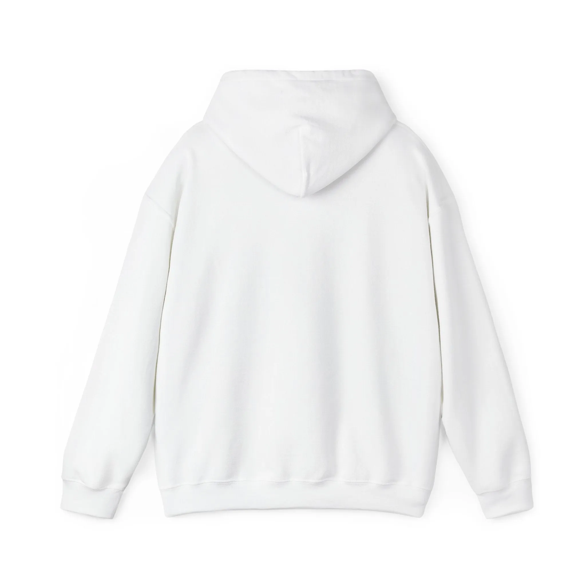 Got This Hoodie - Motivational Sweatshirt for Men & Women, Confidence Pullover, Inspirational Gift for Family & Friends, Positive Black White Apparel